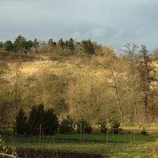 Stráň u Chroustova