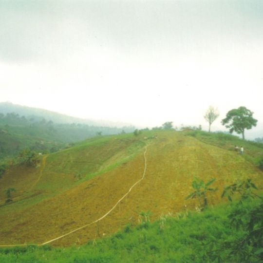 Don Victoriano Chiongbian