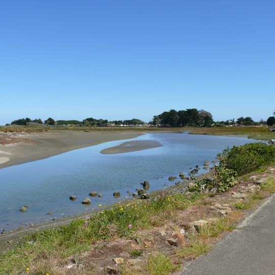 Manawatū Estuary