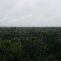 Akwa Ibom