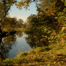 Mittlere Röderaue und Kienheide