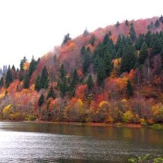 Шаорське водосховище