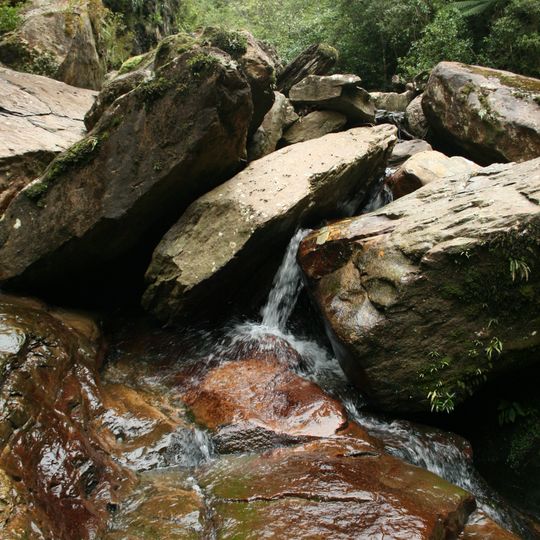 Seven Mile Creek / Waimatuku