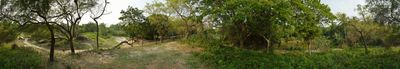 Panoramisch uitzicht 0