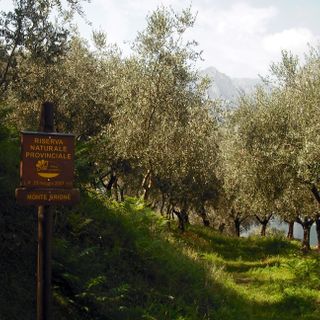 Schutzgebiet Monte Brione