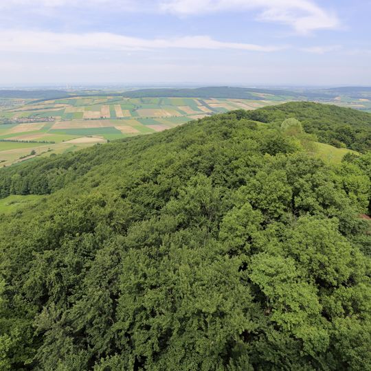 Befestigte Höhensiedlung Buchberg