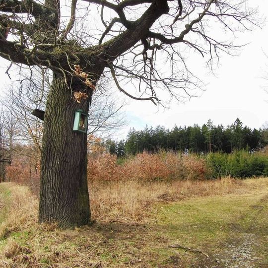 Obrázek severně od Haček u silnice