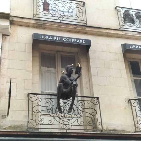 Le Liseur aux canaris