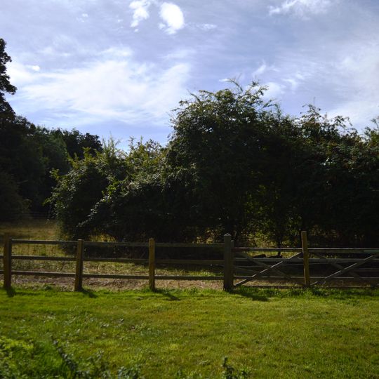Sawston Hall Meadows