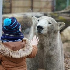 Parc zoologique de Lisieux