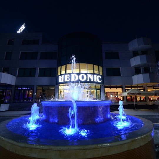 Hotel Hedonic