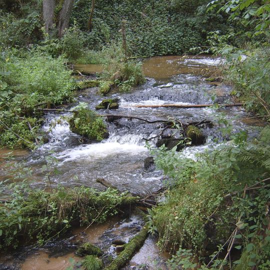 Nature reserve Czartowe Pole