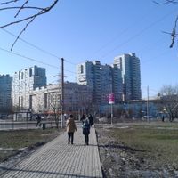 Cheryomushki District