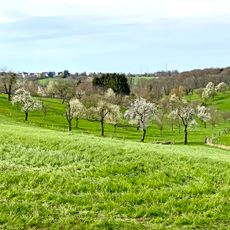LSG-Oelbachtal und Wiehbachtal