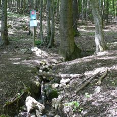 Vyvieračka pod Bachárkou