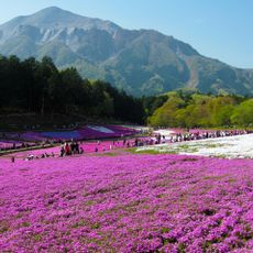 Hitsujiyama Park