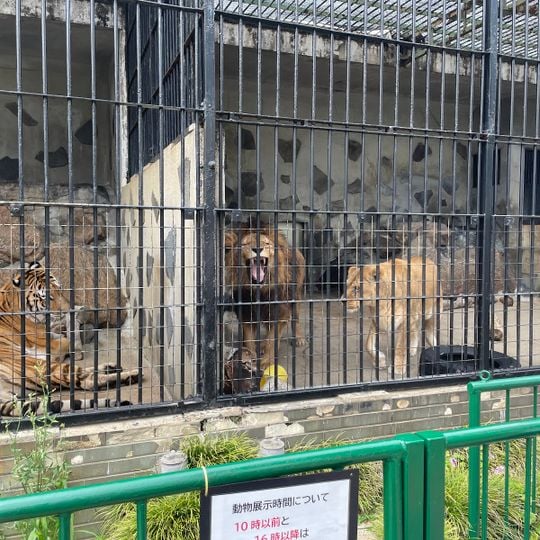 Tokuyama Zoo