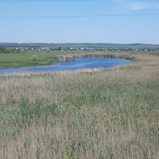 Saplawa ritschky Samara