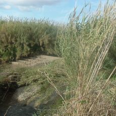 Séquia de Mestalla