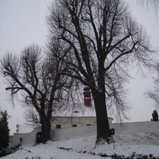 Jírovec maďal ve Ctiněvsi