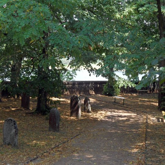 Jewish cemetery in Hoješín