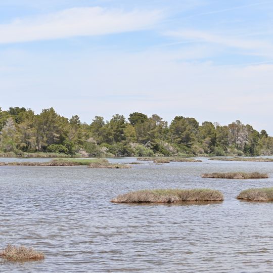 Divjakë-Karavasta National Park