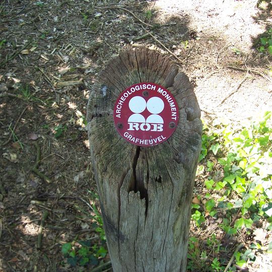 Terrein waarin resten van een grafheuvel