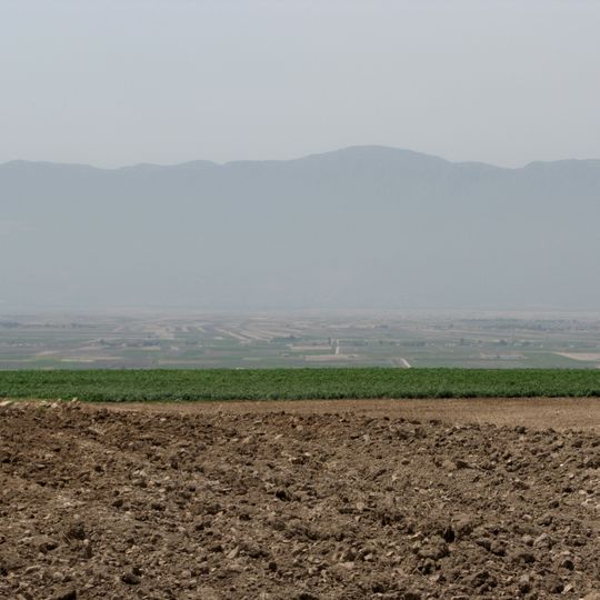Al-Ghab plain