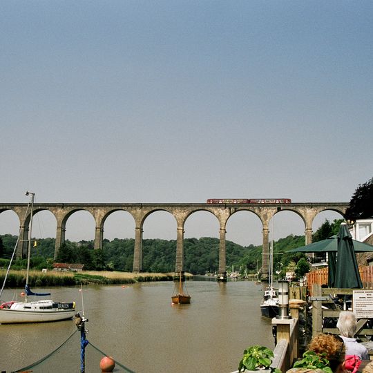 Tamar