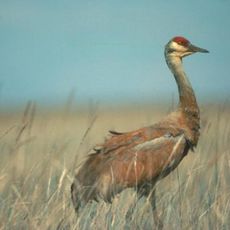 Ottawa National Wildlife Refuge
