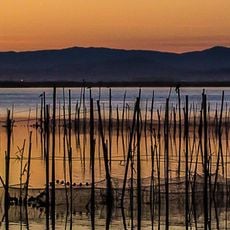La Albufera Natural Park