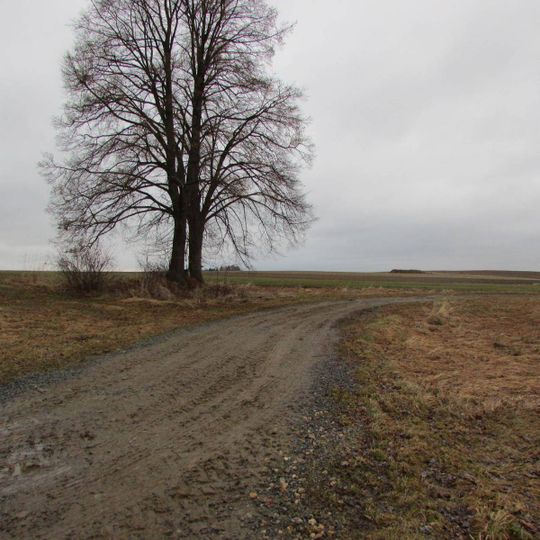 Kříž západně od Zmišovic