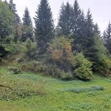 Cultural heritage D-7-8425-0005 in Stiefenhofen