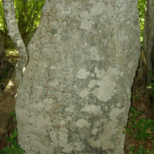 Uppland Runic Inscription 910