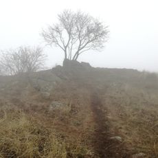 Lysá hora (České středohoří)