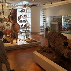 Naturmuseum Thurgau