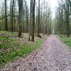 Große Keltenschanze