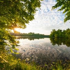 Базальтівська діброва