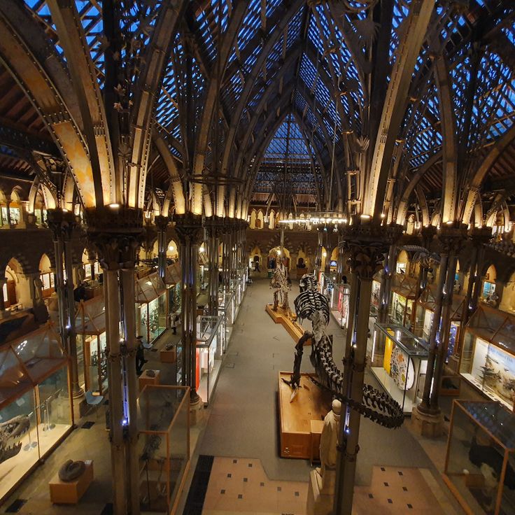 Oxford University Museum of Natural History