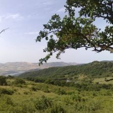 Riserva naturale orientata Bosco della Ficuzza, Rocca Busambra, Bosco del Cappelliere e Gorgo del Drago