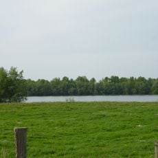 Rheinvorland bei Perrich