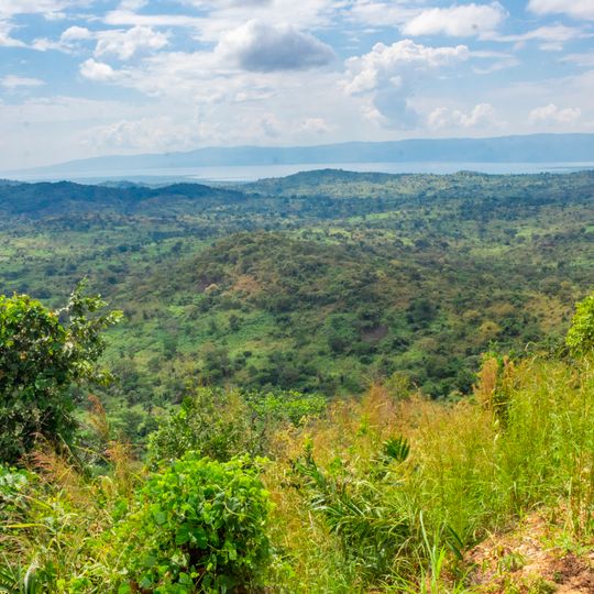 Fizi Territory