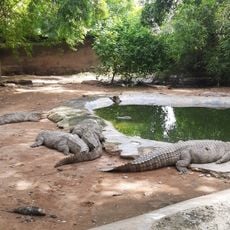 Gandhi Zoological Park