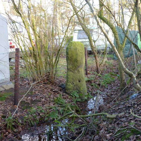 Slagersmatenpaal in weide aan de Leppeweg; scheiding tussen Usseler- en Buursermarke