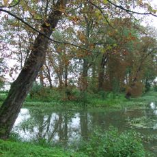 Manor park in Trojanów