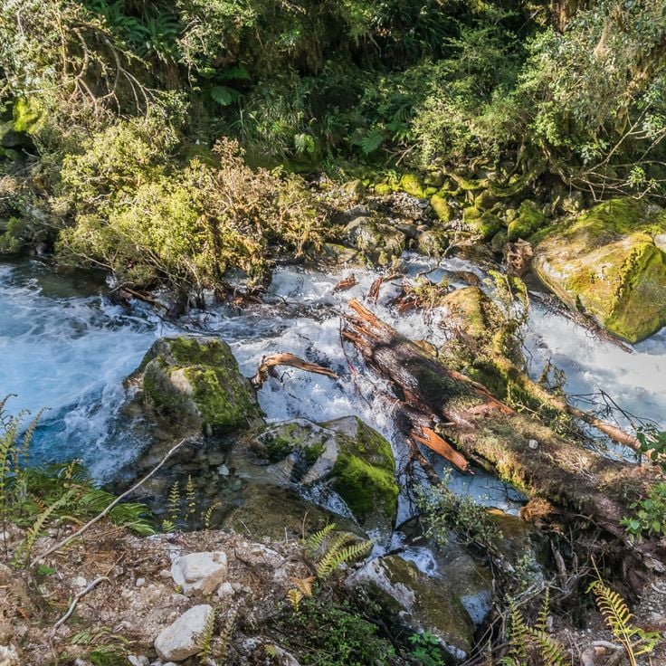Park Narodowy Fiordland