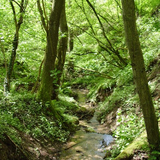 Dörngraben bei Haibach