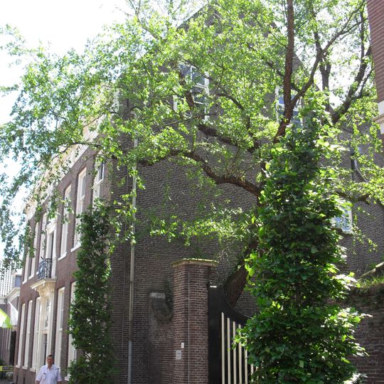 Langestraat 37, Nijkerk