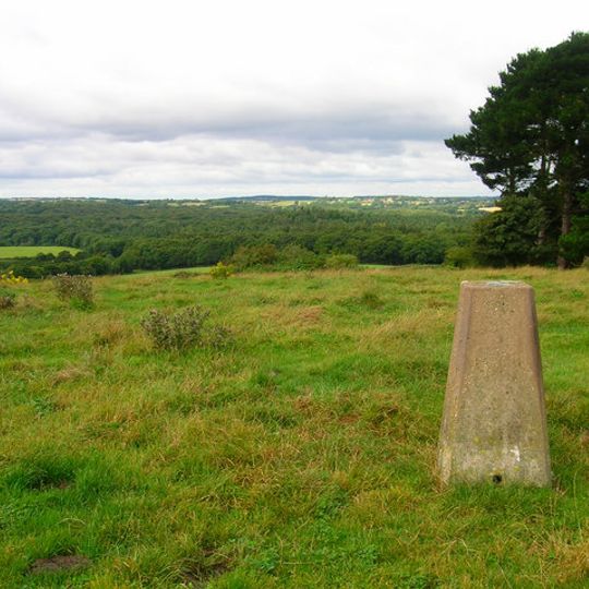 Briddlesford Copses