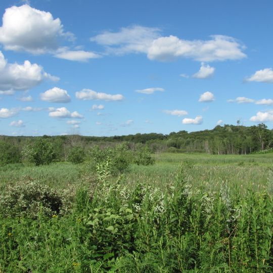 Arlington’s Great Meadows